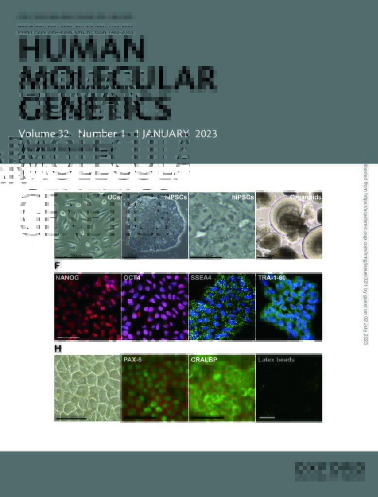 11_2023 - Alecu - HMG_COVER