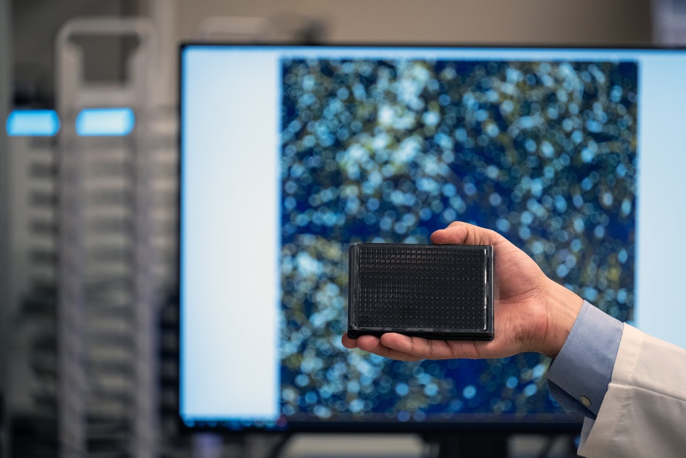 96-well plate in the high-throughput screening facility